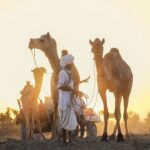 A honeymoon couple enjoying a camel safari in the Thar Desert near Jaisalmer at sunset.