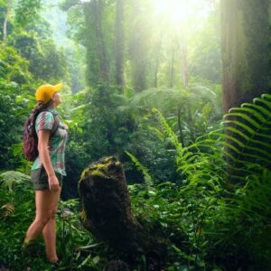 Eco Tourism