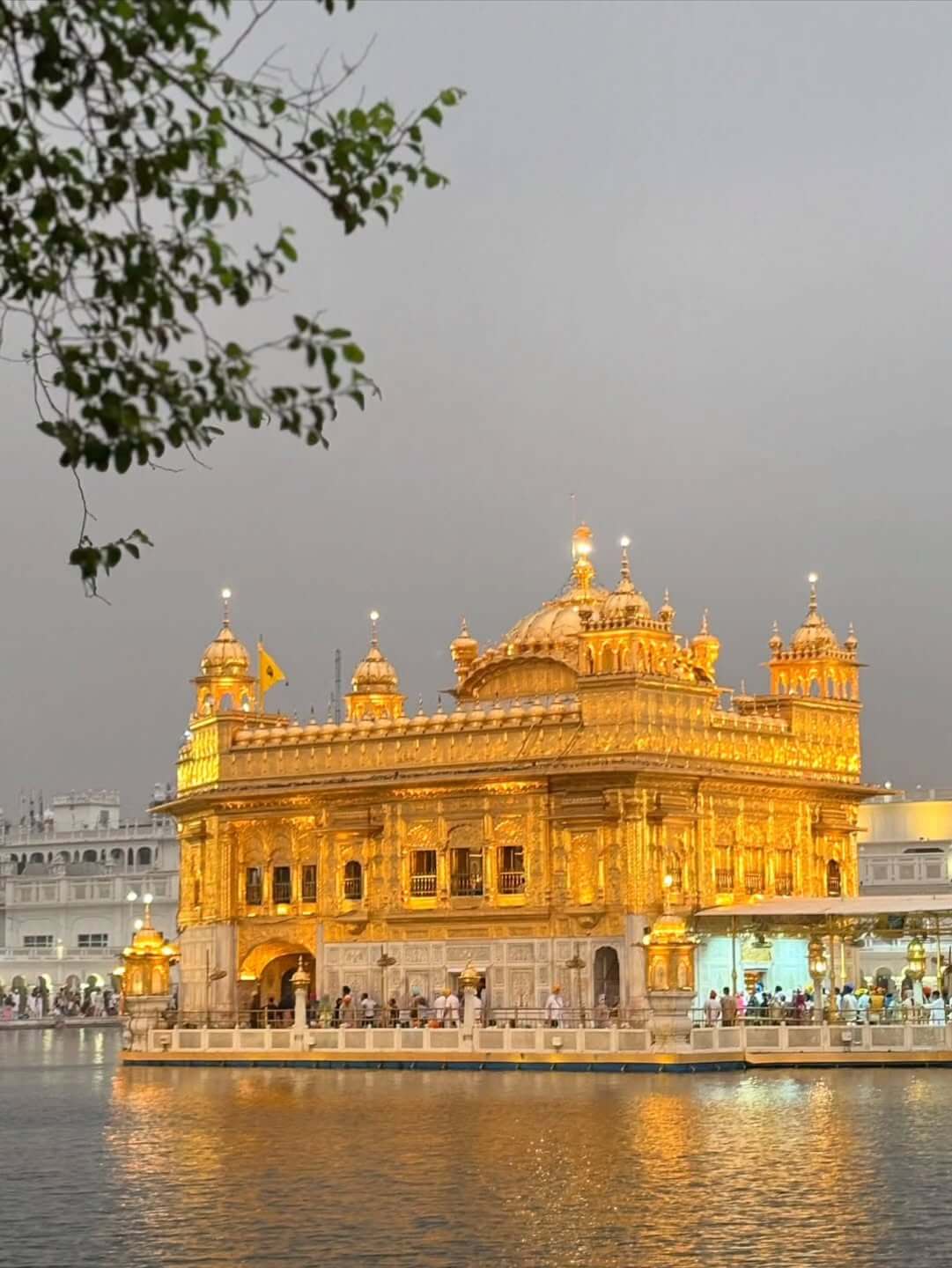A stunning night view of the Golden Temple in Amritsar, brightly lit and reflected in the sacred Sarovar (pool), with devotees visible around the periphery.