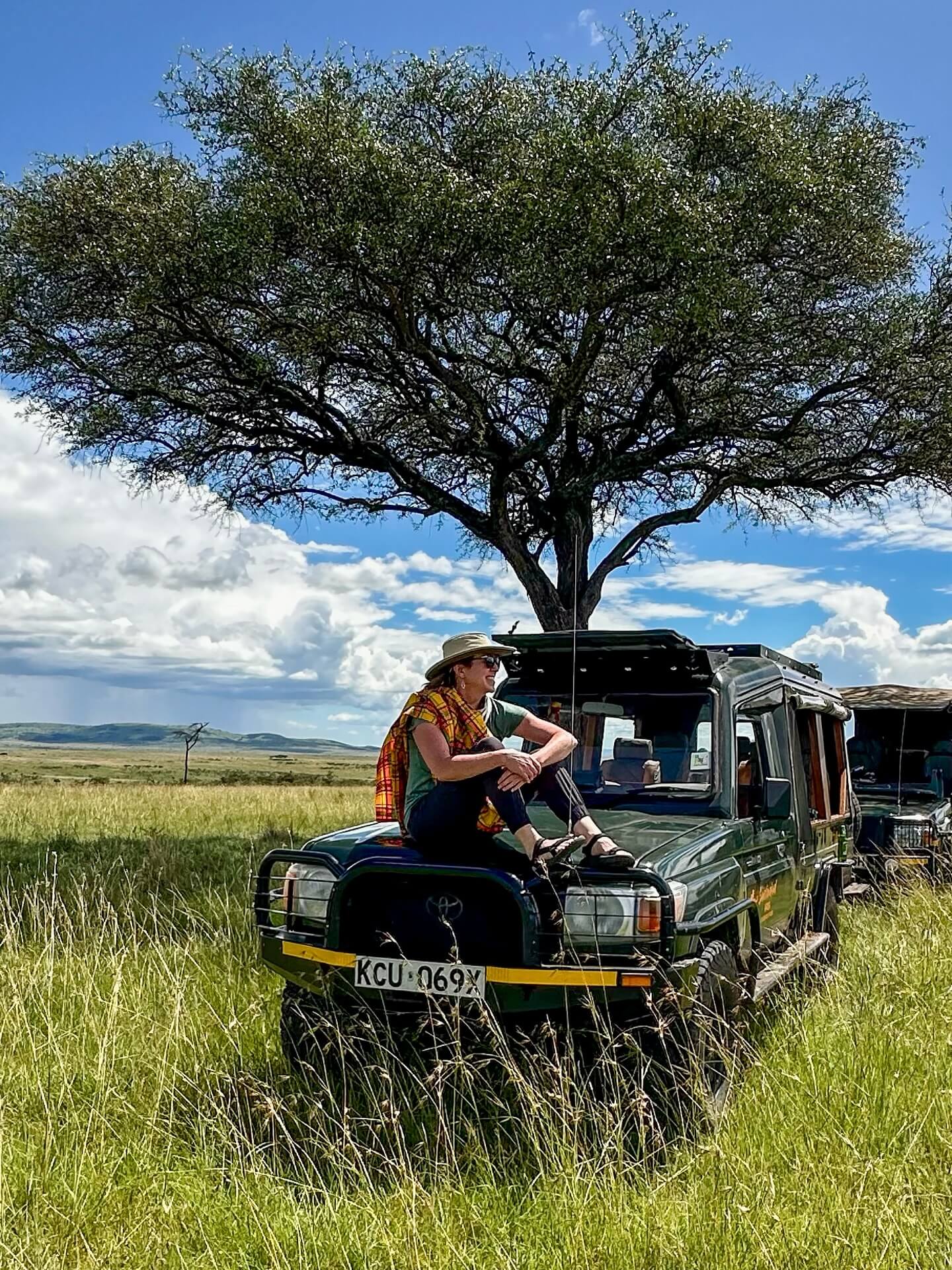 A jeep on a wildlife viewing track in the Maasai Mara National Reserve, surrounded by acacia trees and a large herd of animals, showcasing the best wildlife safari.