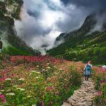 A vibrant alpine meadow carpeted with thousands of multicolored wildflowers, surrounded by lush green hills and snow-capped Himalayan peaks.