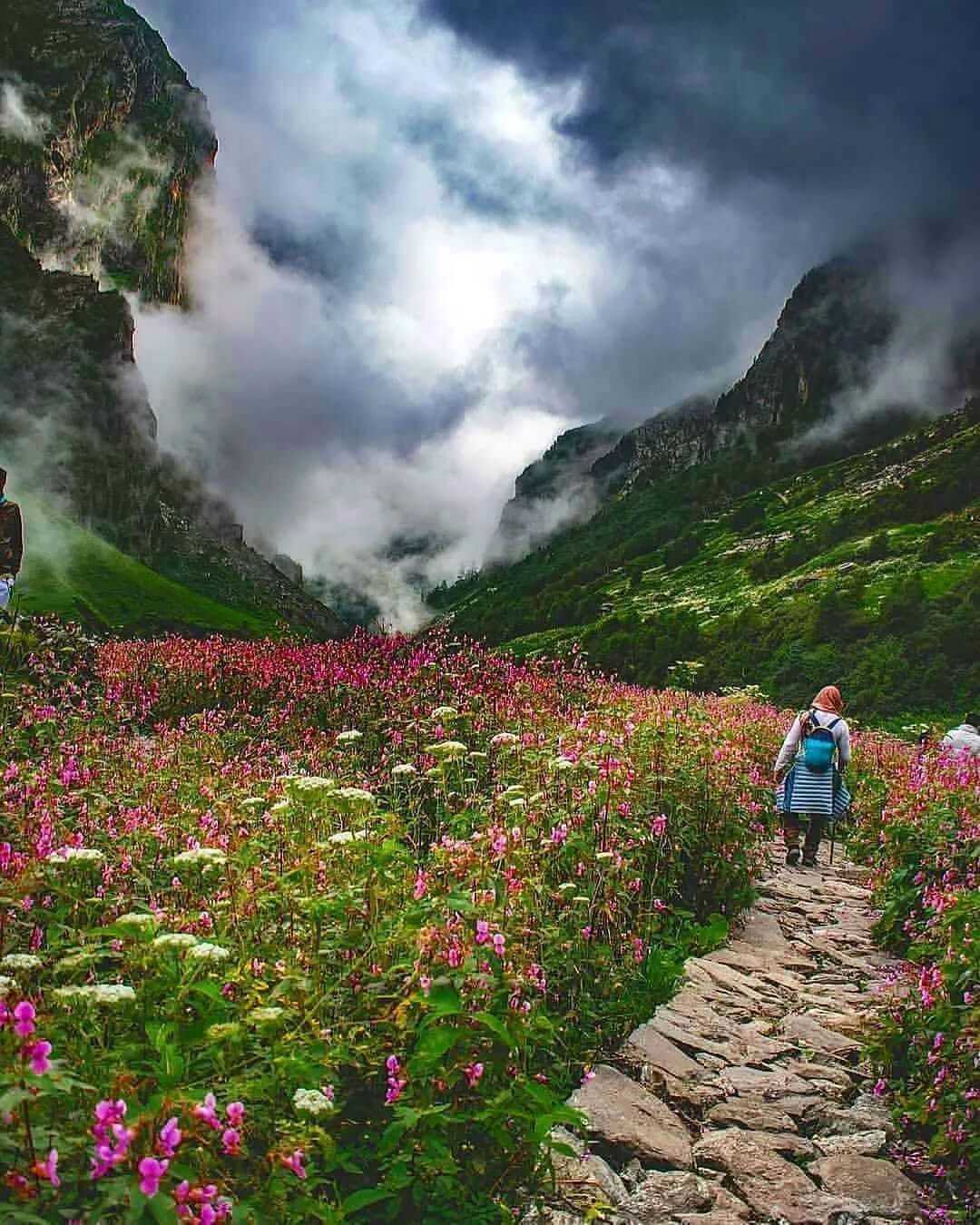 A vibrant alpine meadow carpeted with thousands of multicolored wildflowers, surrounded by lush green hills and snow-capped Himalayan peaks.