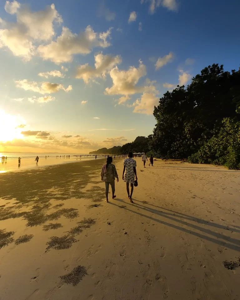 Andaman Honeymoon Package: A Romantic Escape to Paradise