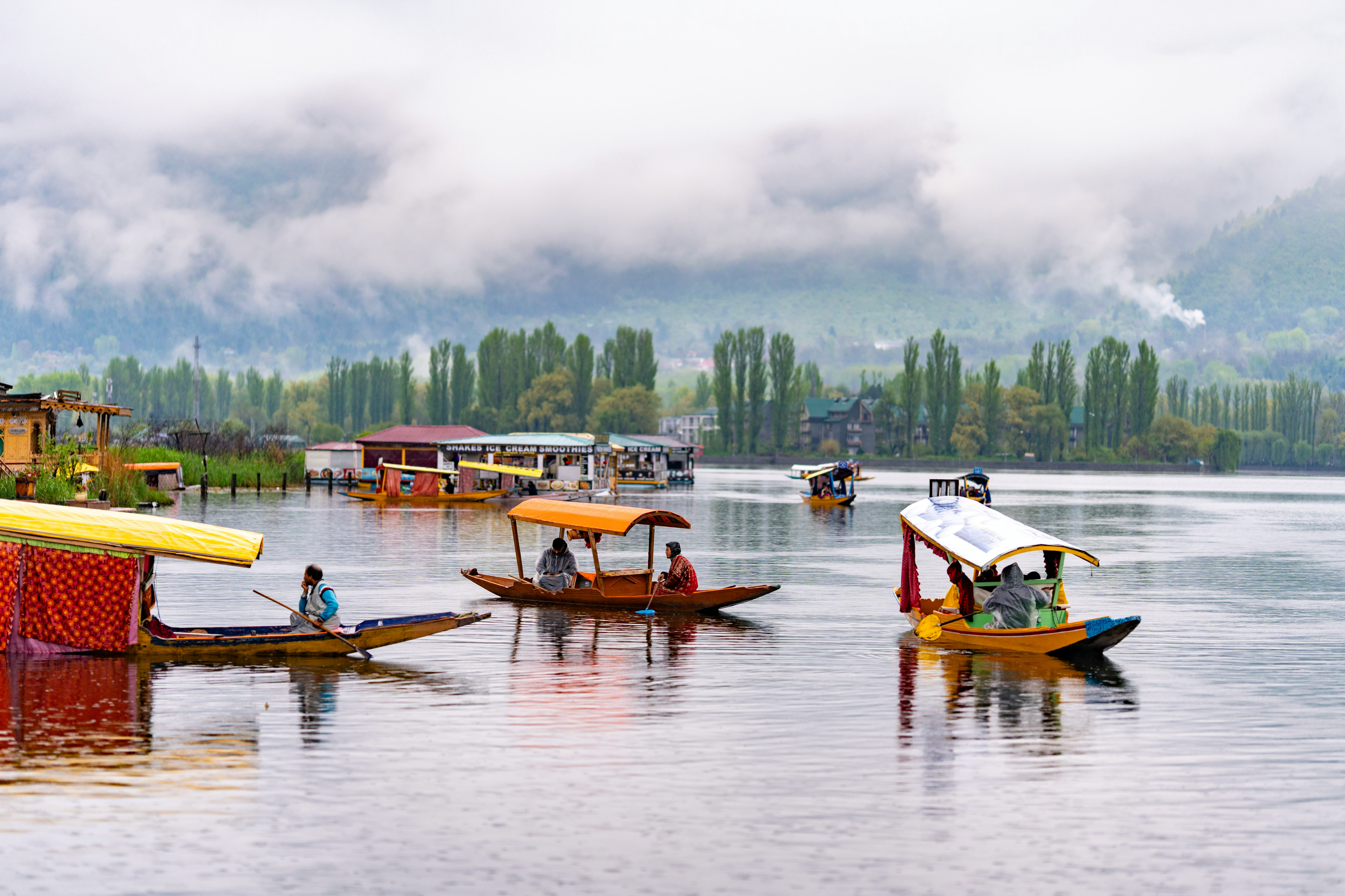 Scenic view of Kashmir valley with blooming tulip fields and snow-capped mountains