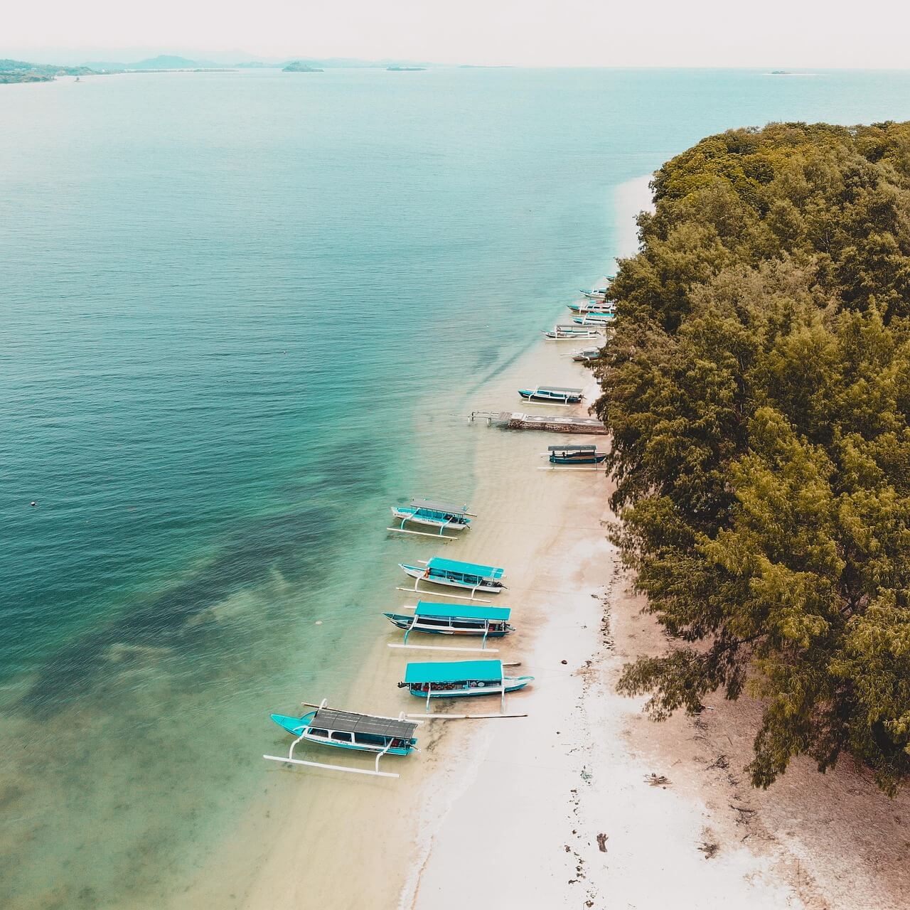 "A diverse group of young backpackers smiling and laughing together on a sandy beach in Bali, with palm trees and the ocean in the background."