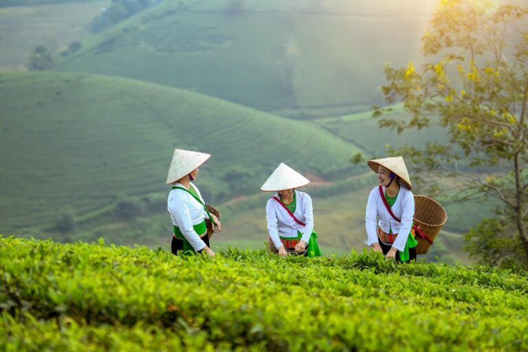 Hanoi Tour Packages