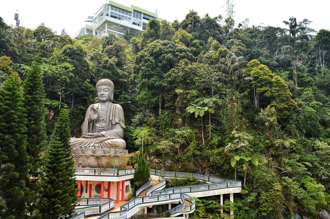 "The sleek Awana SkyWay gondola soaring above the majestic Malaysian jungle, offering a bird's-eye view."