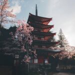An iconic view of the red and white Chureito Pagoda against the majestic, snow-capped Mount Fuji on a clear day. The foreground features pink cherry blossoms in full bloom, with a city visible in the valley below.