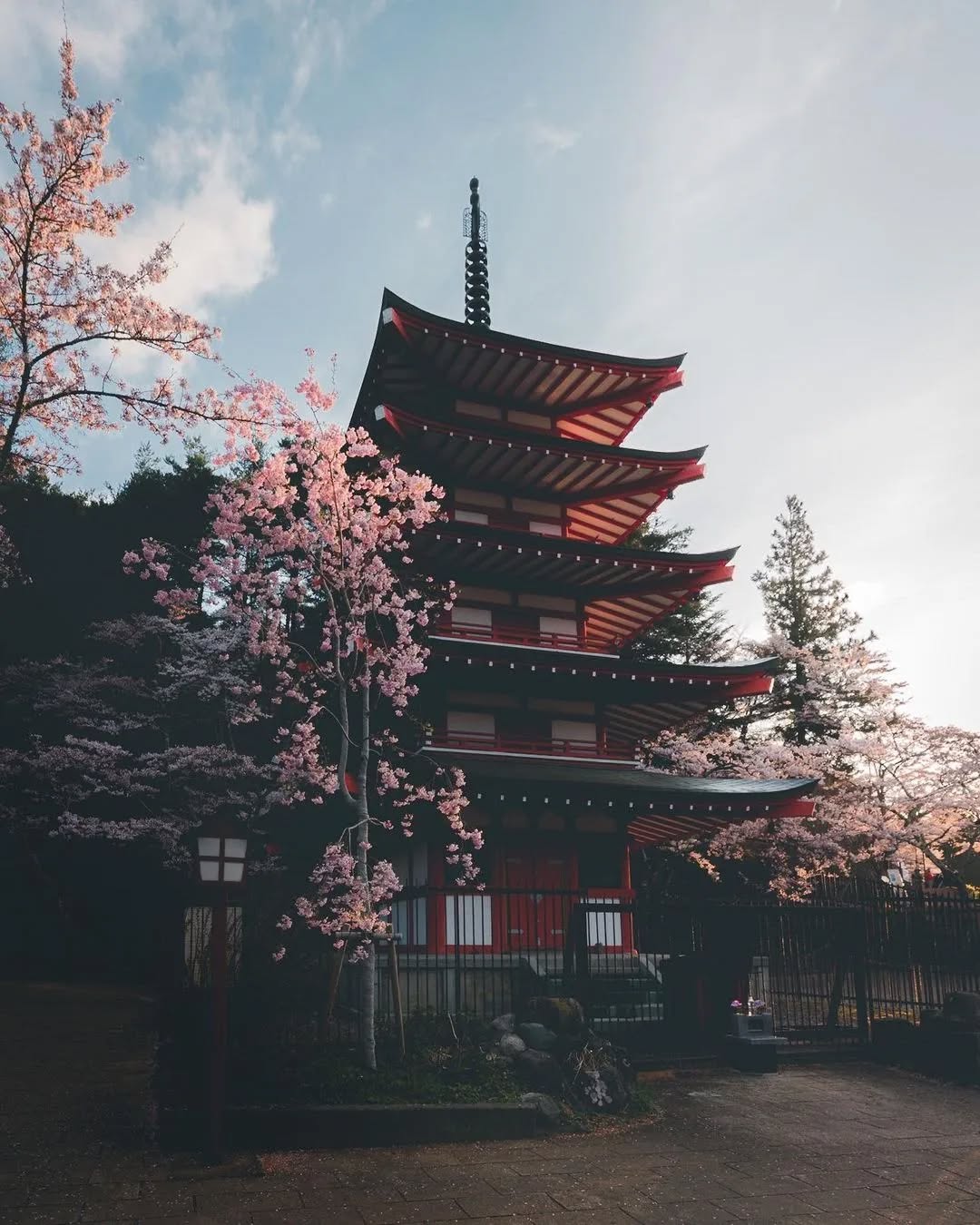 An iconic view of the red and white Chureito Pagoda against the majestic, snow-capped Mount Fuji on a clear day. The foreground features pink cherry blossoms in full bloom, with a city visible in the valley below.