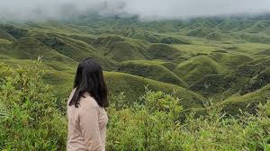 The valley is covered in a carpet of green dwarf bamboo, with scattered seasonal flowers, and is surrounded by mountains and forests.