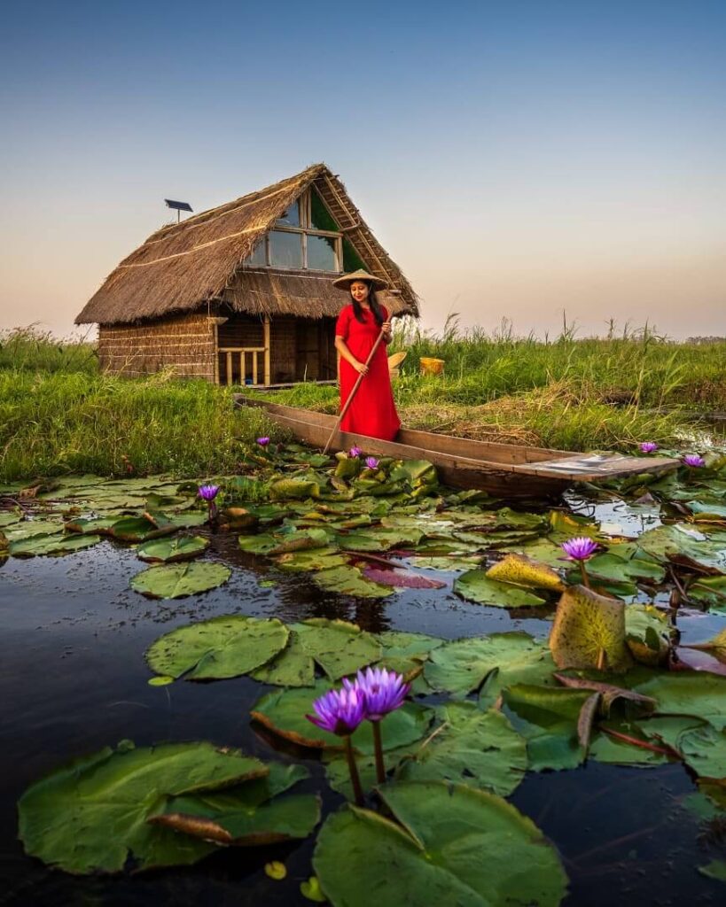 A panoramic view of a river island in Majuli, with lush green fields, scattered trees, and a body of water in the foreground under a cloudy sky.