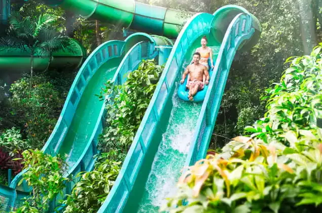 People screaming with joy as they slide down a thrilling water slide at an adventure waterpark.