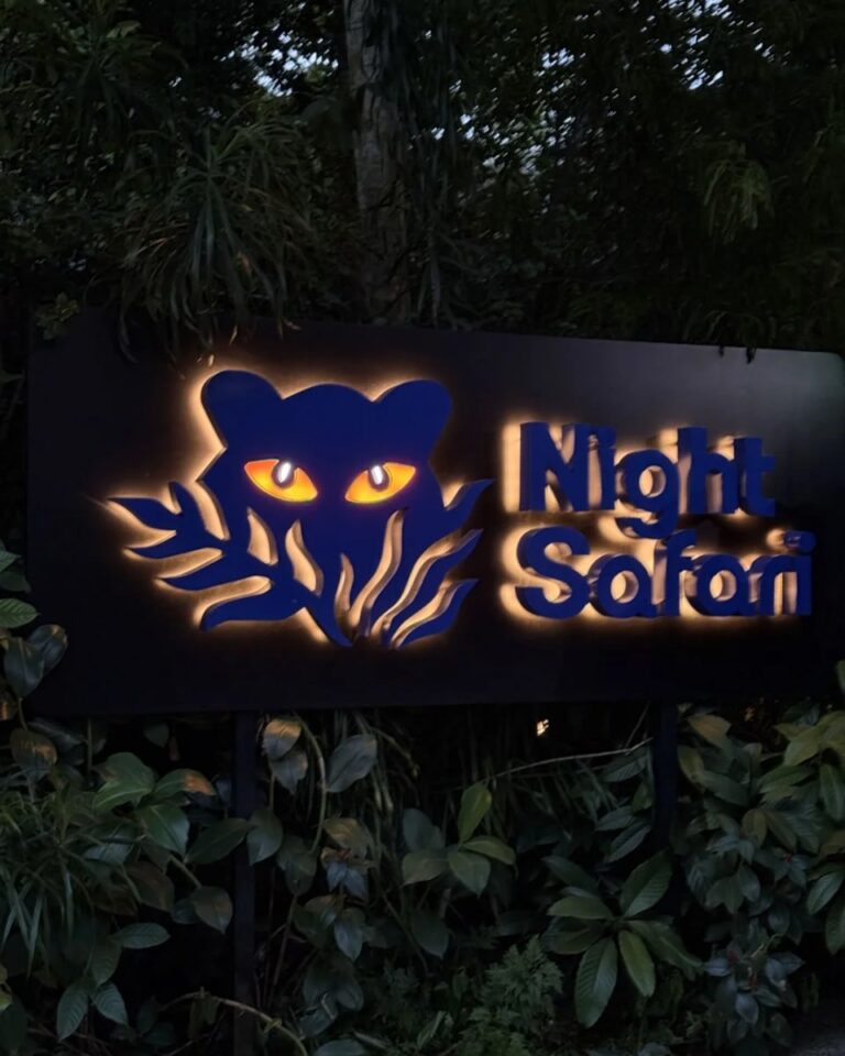 Singapore Getaway | FREE Night Safari Zoo Visit