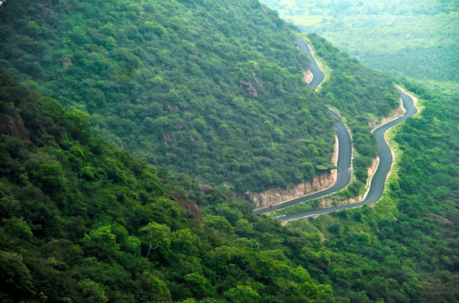 A scenic photograph of a misty, green landscape in the Indian Western Ghats during the monsoon, with rolling hills covered in lush vegetation and a winding road.