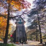 A solo traveler exploring the vibrant streets of McLeod Ganj in Dharamshala,