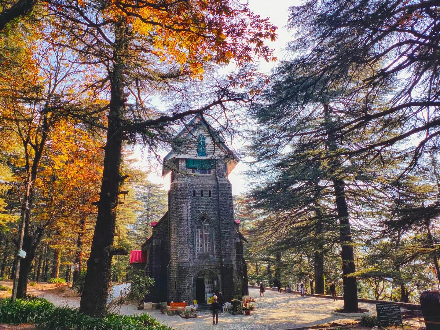 A solo traveler exploring the vibrant streets of McLeod Ganj in Dharamshala,