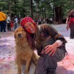 Travelers celebrating vibrant Holi during the Faguli Festival in Sangla Valley with snow-capped Himalayan mountains in the background – Chalo Travellers Sangla Holi Road Trip 2026.
