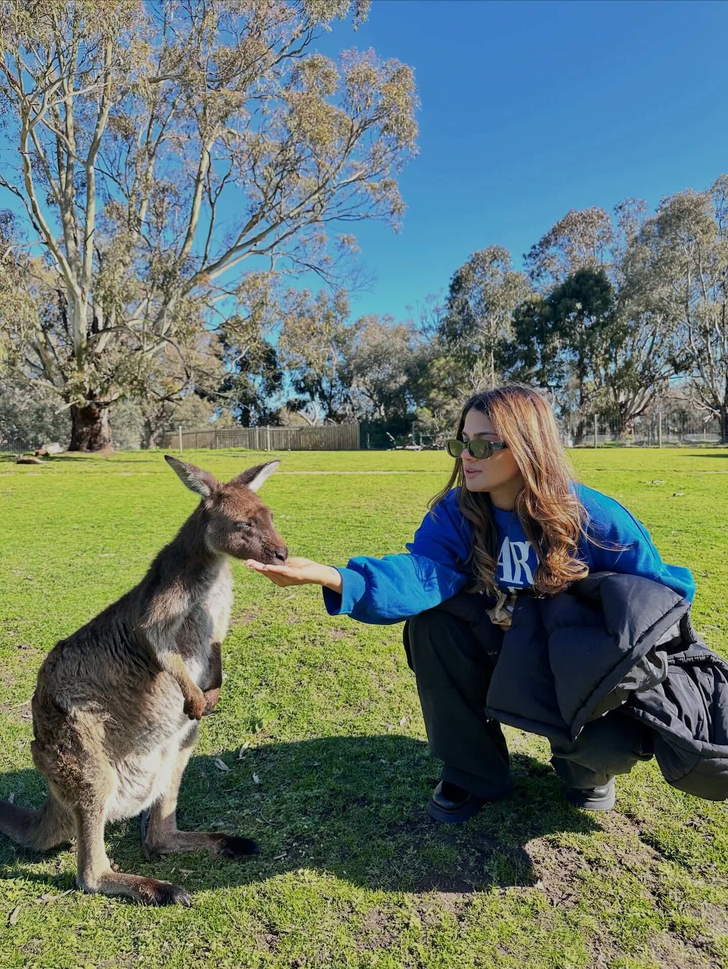 Best places to visit in Australia featuring Sydney Opera House and Harbour Bridge